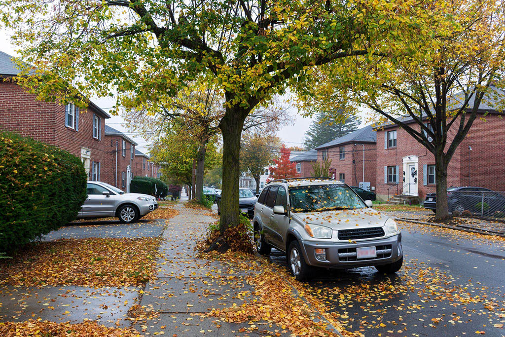 Best Practices for Parking to Avoid Auto Glass Damage